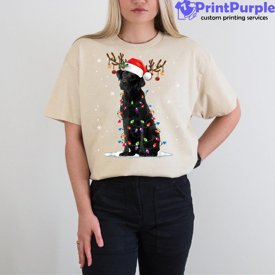 Top-selling Item] Christmas Lights and Chocolate Labrador, Embroidery  Design Dog, Chocolate Labrador Shirt, Christmas Dog Shirt